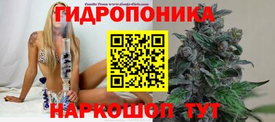 кристаллы Новозыбков